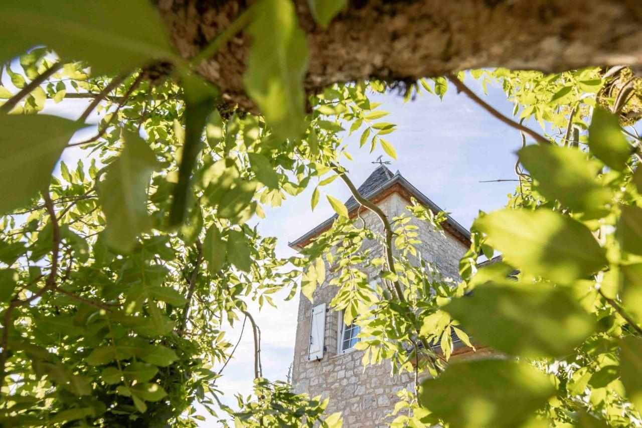 Domaine La Garenne Bed & Breakfast Reilhaguet Exterior foto