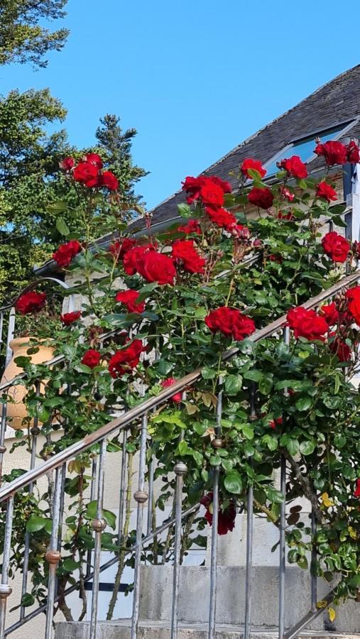 Domaine La Garenne Bed & Breakfast Reilhaguet Exterior foto